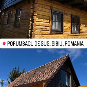 Little Bear Lodge Sibiu Exterior photo
