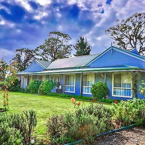 Marigold Cottage, A Blue Mountains Oasis- Spacious, Views & Kangaroos Little Hartley Exterior photo