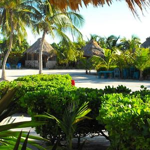 Costa De Cocos Hotel Xcalak Exterior photo