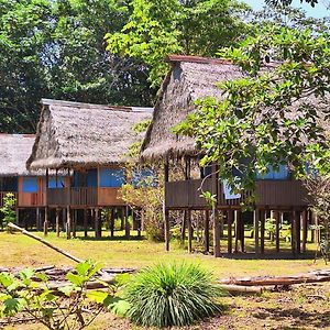 Amazon Curassow Lodge And Expeditions Paraiso Exterior photo