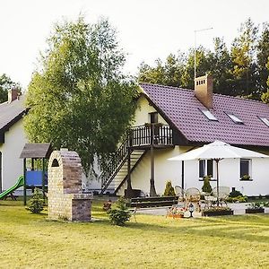 Bednarzowka Villa Nowy Tomysl Exterior photo