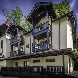 Vila Rigo Sovata Hotel Exterior photo