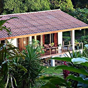 Ceiba Tree Lodge Mata de Cana Exterior photo