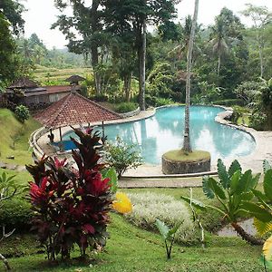 Yeh Panes Hot Spring Resort Penebel Exterior photo