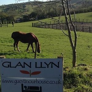 Glan Llyn Farm House Villa Mold Exterior photo