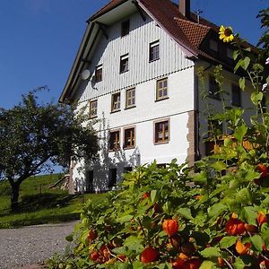 Fehrenbacherhof Naturgastehaus Lauterbach  Exterior photo