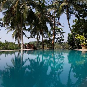 Stone Well Garden Villa Hikkaduwa Exterior photo