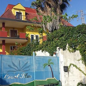 Bed And Breakfast Coral Blue Briatico Exterior photo