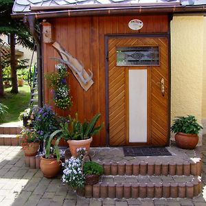 Ferienhaus Erzgebirge "An Der Trebe" Mit Kamin Und Sauna Neuhausen  Room photo
