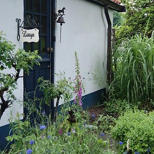 Lisayalichtwerk Bed & Breakfast Odoorn Exterior photo