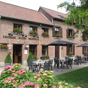 Hotel Klein Nederlo Vlezenbeek Exterior photo