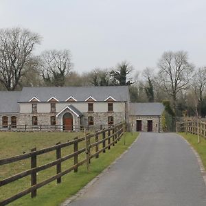 Moynure House Boutique B&B Athlone Exterior photo