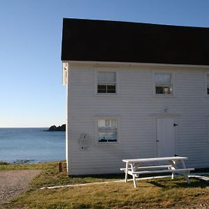 The Old Salt Box Co - Gertie'S Place Twillingate Exterior photo