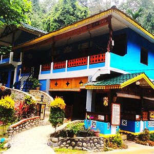 Bugis Inn Bukit Lawang Exterior photo