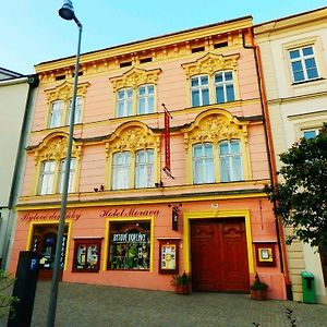 Hotel Morava Znojmo Exterior photo