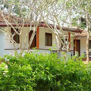 Calm Garden Cabanas Hotel Tangalle Exterior photo