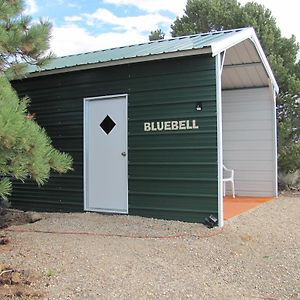 Bluebell Cabin, Glamour Cabin Camping, Stunning Night Sky Monticello Exterior photo