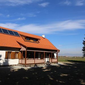 Ezustfenyo Agroturisztikai Panzio Hotel Borzont Exterior photo