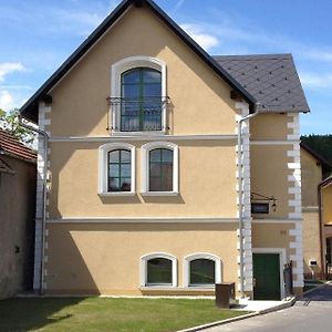 Old House Bed & Breakfast Hradec nad Moravici Exterior photo