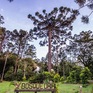 Bosque Oriri Hotel Reboucas Exterior photo