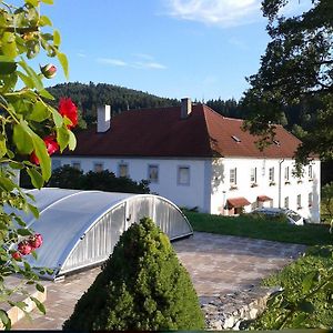 Ubytovani Ve Mlyne Kladenske Rovne Exterior photo