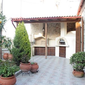Artemisia Traditional Home Choudetsi Exterior photo