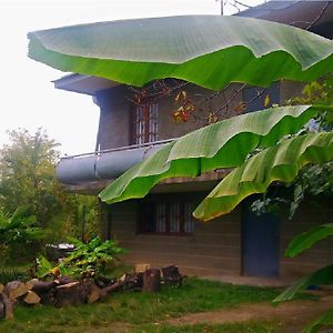 Farmer'S Guest House Telavi Exterior photo