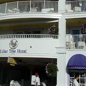Lilac Tree Suites Mackinac Island Exterior photo