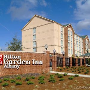 Hilton Garden Inn Albany Exterior photo
