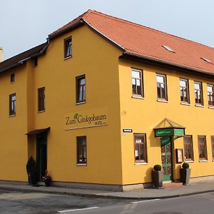 Zum Ginkgobaum Hotel Stadtilm Exterior photo