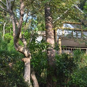 Nillamba Wild Villa Kandy Exterior photo