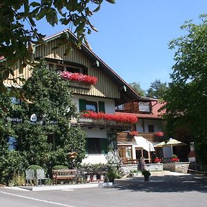 Steiner Wirt Hotel Tiefenbach  Exterior photo