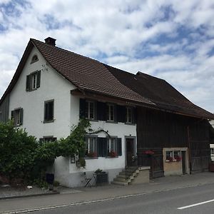 Airport Zurich Elwiras B & B Lufingen Exterior photo