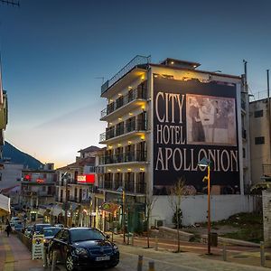City Hotel Apollonion Karpenisi Exterior photo