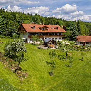 Haus Jagerfleck, Ihre Ferienwohnungen Am Nationalpark Bayerischer Wald Spiegelau Exterior photo