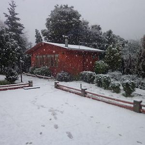 Puelche De Antuco Villa Exterior photo