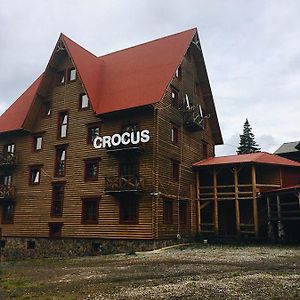 Crocus Hotel Dragobrat Exterior photo