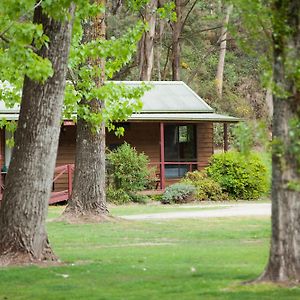 Beechworth Holiday Park Exterior photo