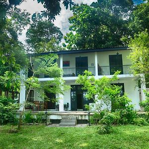 Villa By The Lake Bolgoda, Moratuwa-Colombo Exterior photo