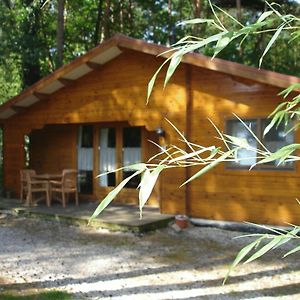 Motel- Bungalow-& Chaletpark De Brenkberg Schinveld Exterior photo