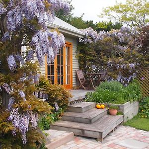 Featherstone B&B Christchurch Exterior photo