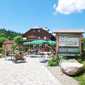 Hohengasthaus Kolmenhof An Der Donauquelle Hotel Furtwangen Exterior photo