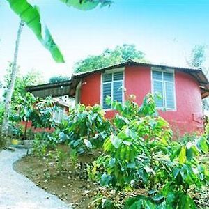 Yedamakky Cottage Virajpet Exterior photo