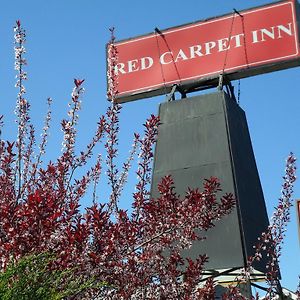 Red Carpet Inn Brooklawn Exterior photo