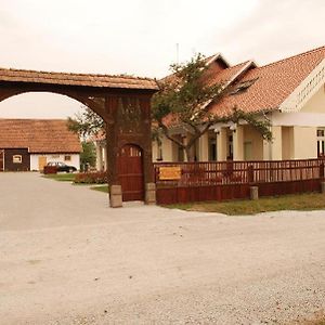 Borsika Panzio Bed & Breakfast Ciumani Exterior photo