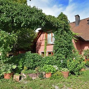 Countryside Apartment With Garden Schallstadt Exterior photo