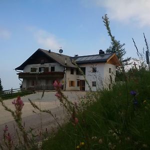 Gasthof Schmiederalm Hotel Aldino Exterior photo