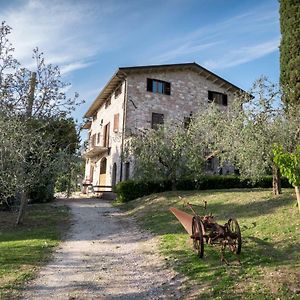 La Piaggia Bed & Breakfast Assisi Exterior photo