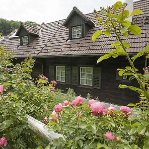 Das Altsteirische Landhaus - La Maison De Pronegg - Feriendomizil Im Biospharenpark Wienerwald Pressbaum Room photo