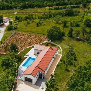 Villa New Home, Villa With Pool In Imotski Near Makarska Exterior photo